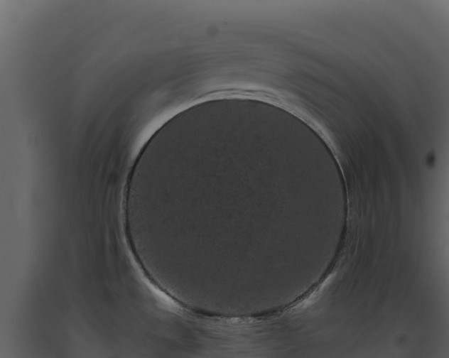X0000093481533200710191156