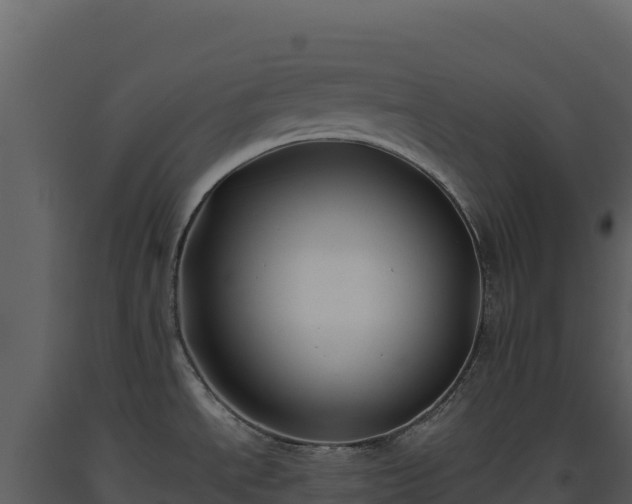 X0000093481534200710191156