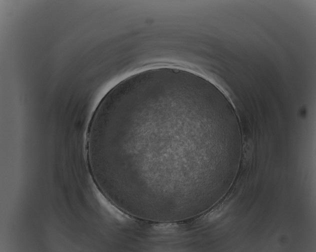 X0000093481535200710191156