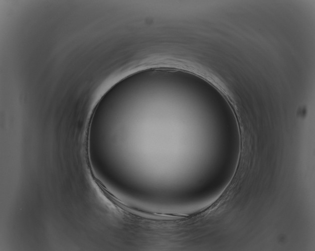 X0000093481536200710191156