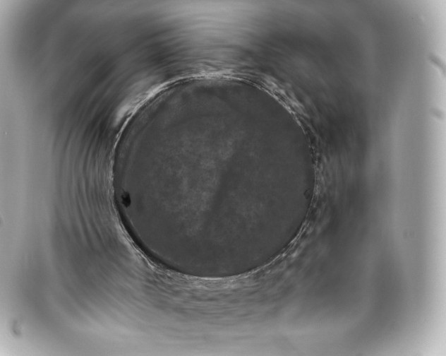 X0000093480002200710261047