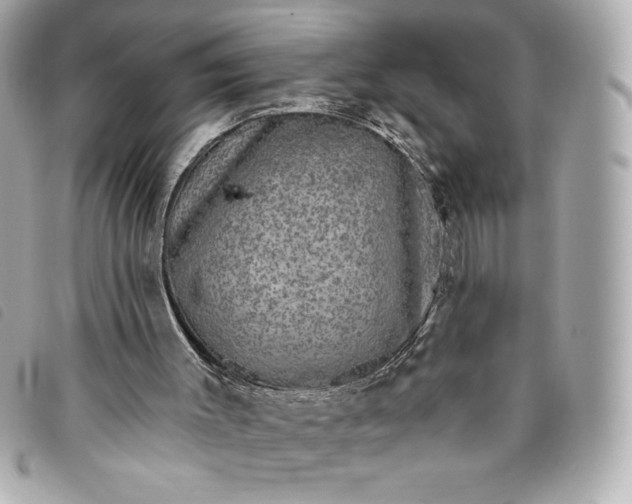 X0000093480003200710261047