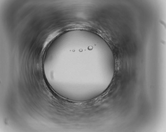 X0000093480004200710261047