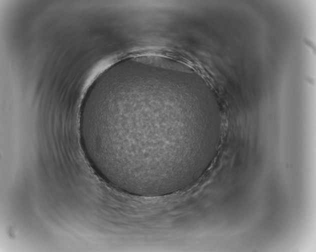 X0000093480006200710261047
