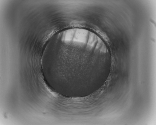X0000093480009200710261047