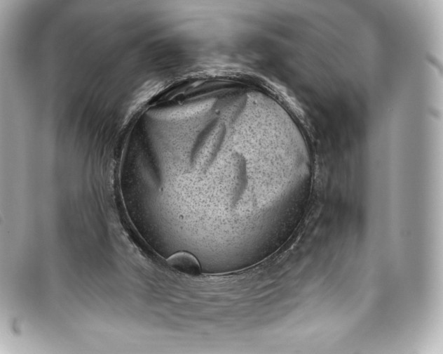 X0000093480010200710261047