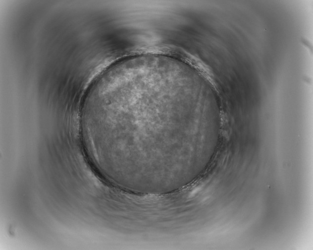 X0000093480012200710261047