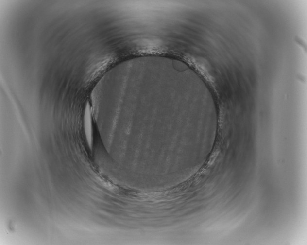 X0000093480017200710261047
