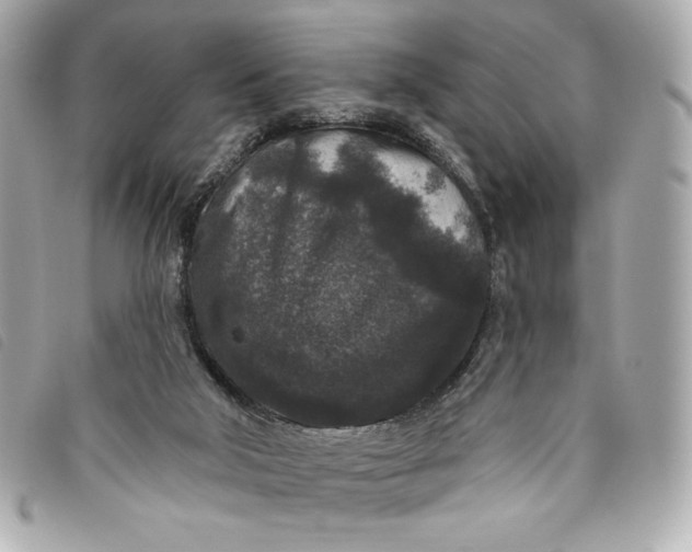 X0000093480018200710261047