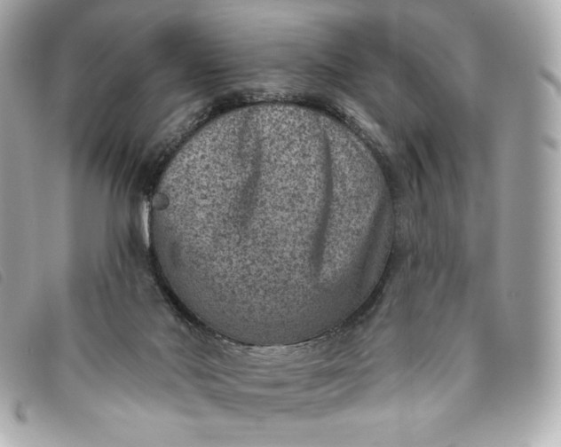 X0000093480022200710261047