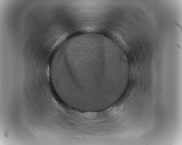 X0000093480024200710261047