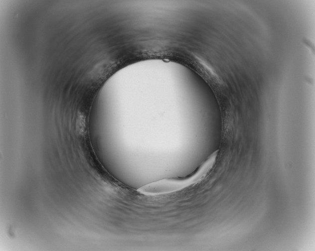 X0000093480025200710261047