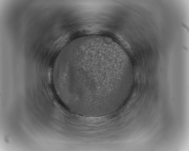 X0000093480026200710261047