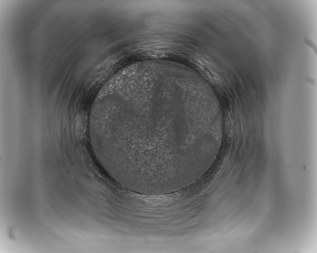 X0000093480030200710261047
