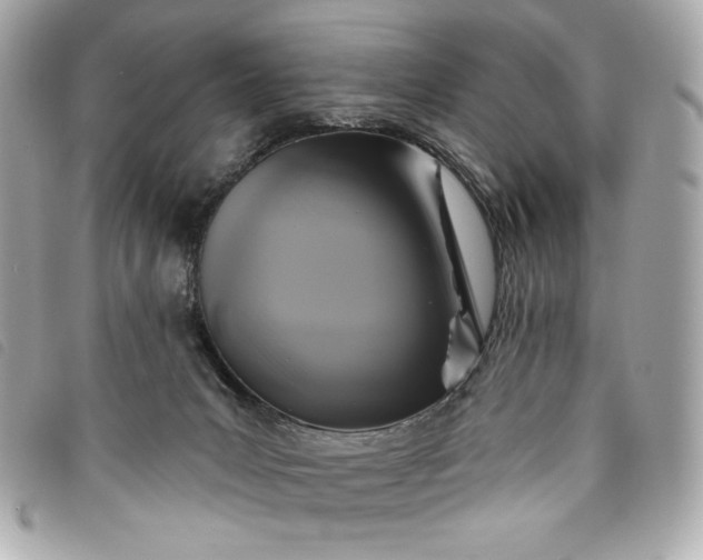 X0000093480031200710261047