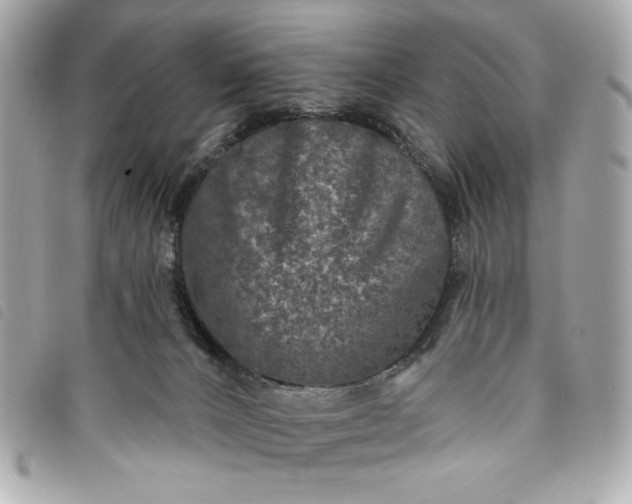 X0000093480032200710261047