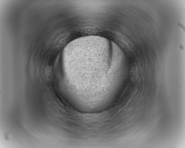 X0000093480034200710261047