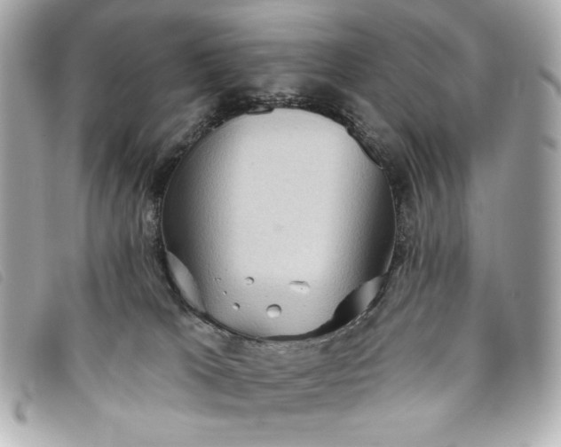 X0000093480037200710261047