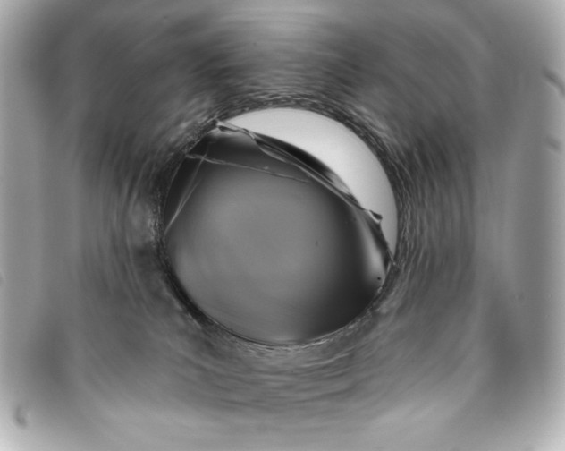 X0000093480039200710261047