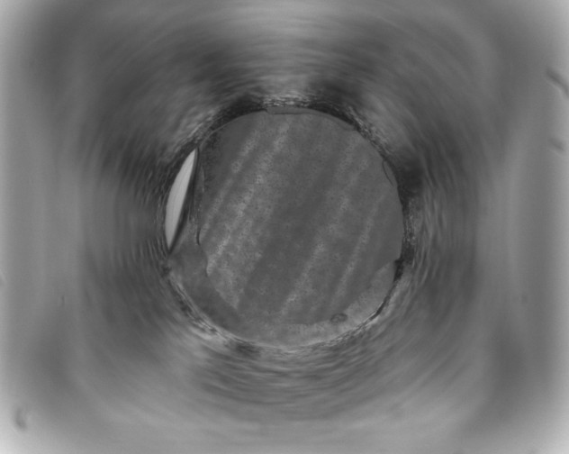 X0000093480041200710261047