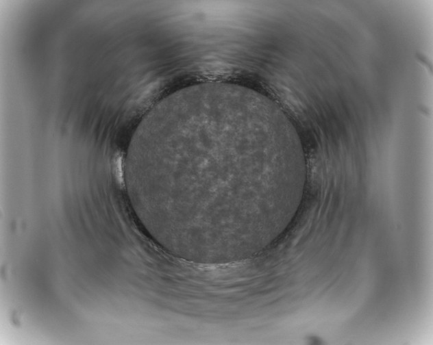 X0000093480042200710261047