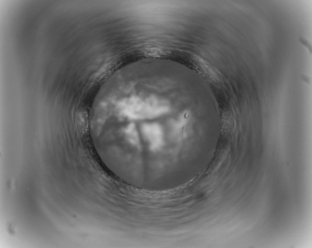 X0000093480043200710261047