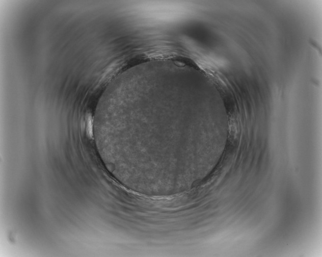 X0000093480046200710261047