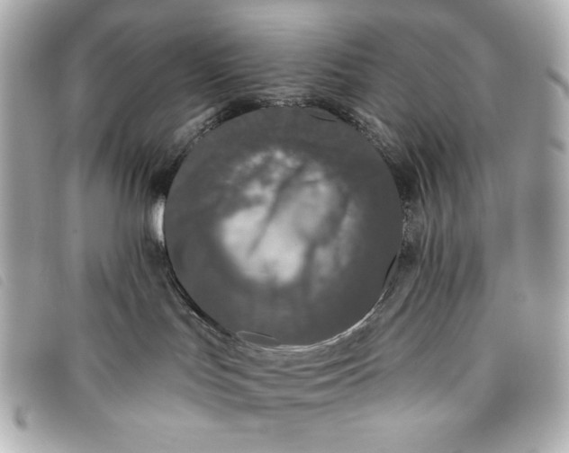 X0000093480047200710261047