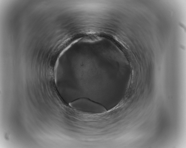 X0000093480048200710261047