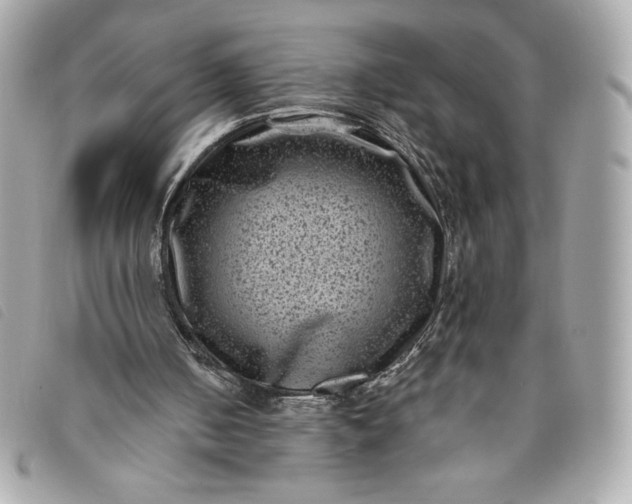 X0000093480050200710261046