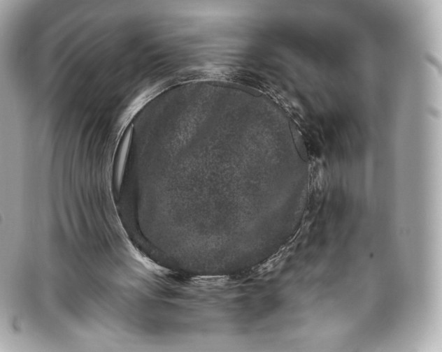 X0000093480051200710261046