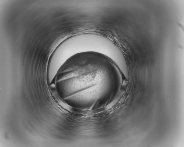 X0000093480052200710261046