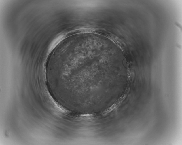 X0000093480053200710261046