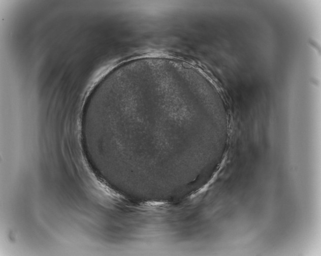 X0000093480055200710261046