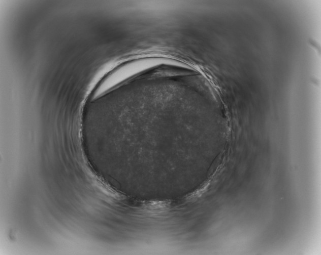 X0000093480056200710261046