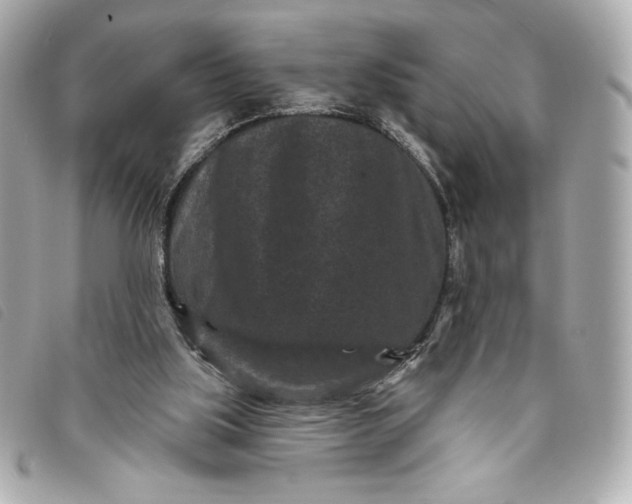 X0000093480059200710261046