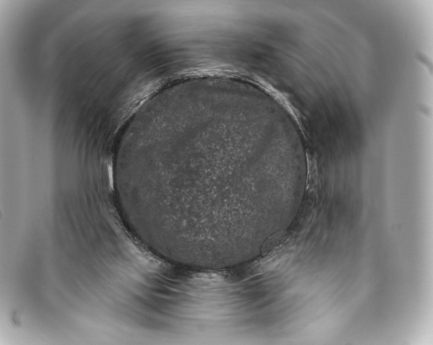 X0000093480061200710261046