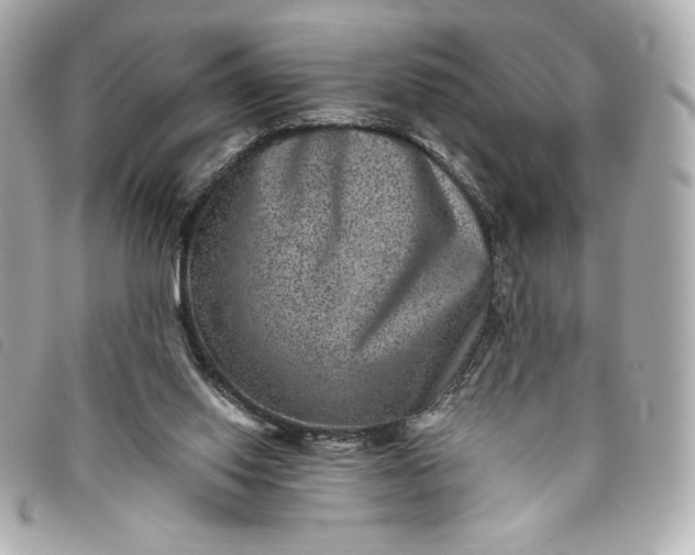 X0000093480062200710261046