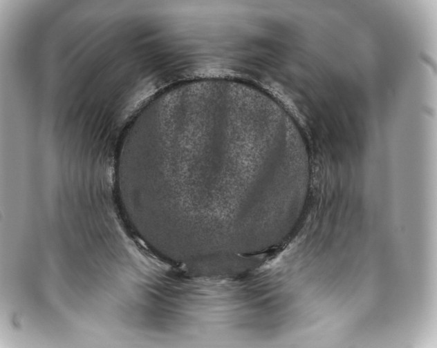 X0000093480063200710261046