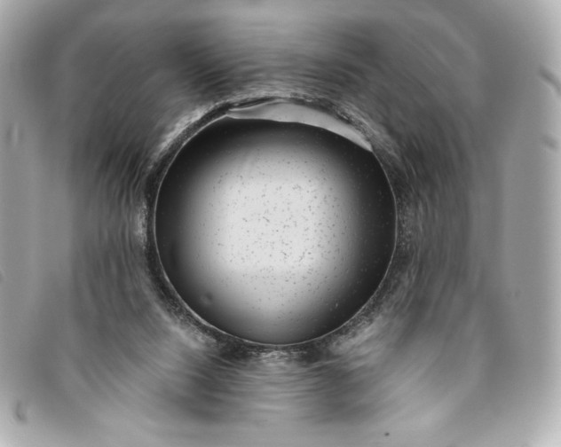 X0000093480064200710261046