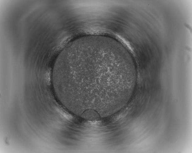 X0000093480065200710261046