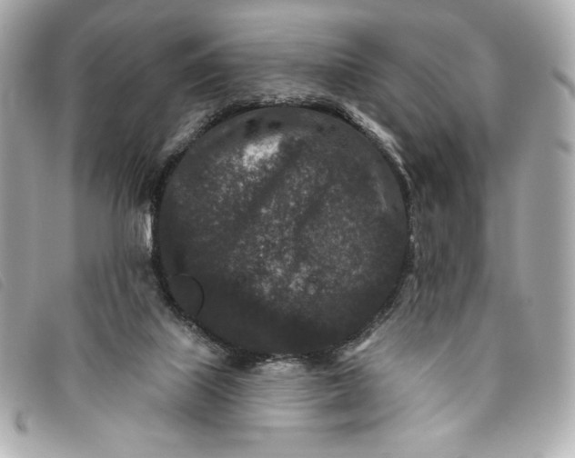 X0000093480067200710261046