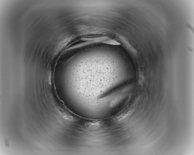 X0000093480068200710261046