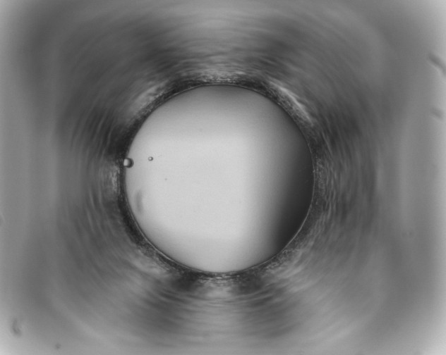 X0000093480071200710261046