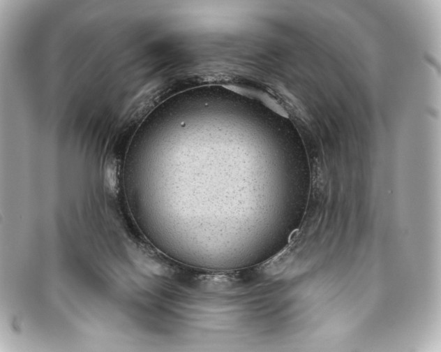 X0000093480074200710261046