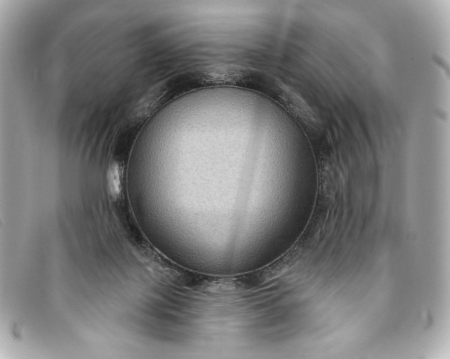 X0000093480075200710261046