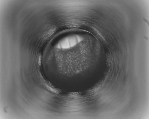 X0000093480076200710261046