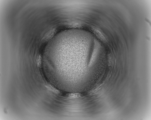 X0000093480077200710261046