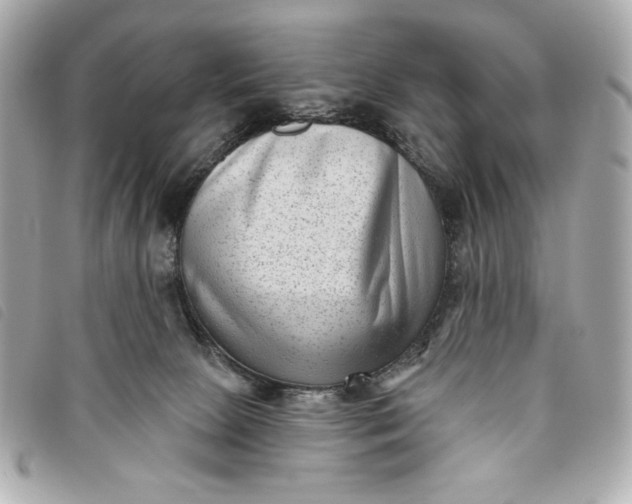 X0000093480081200710261046