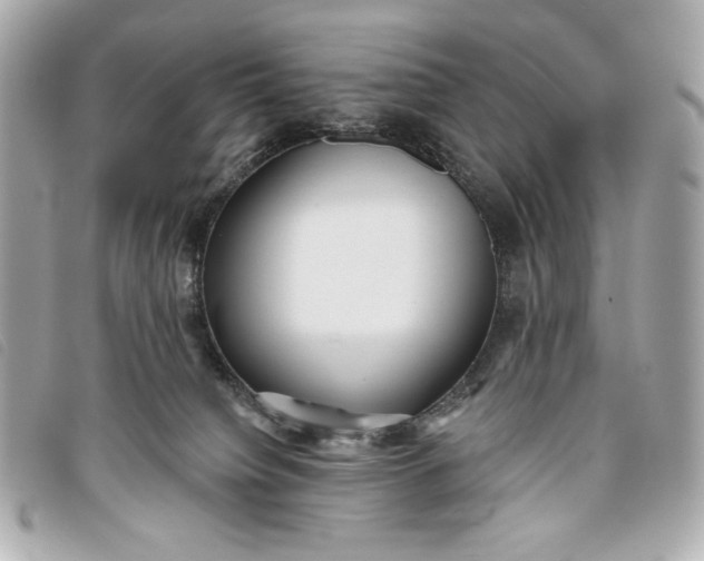 X0000093480084200710261046